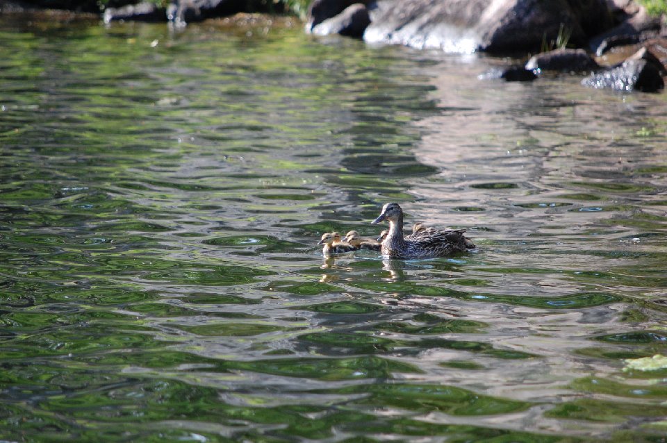 SUMMER2010- (106)